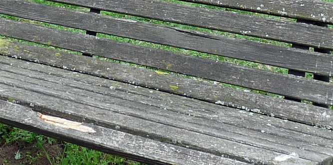 Lauschiges Plätzchen? (Foto: Karl-Heinz Herrmann) Lauschiges Plätzchen? (Foto: Karl-Heinz Herrmann)