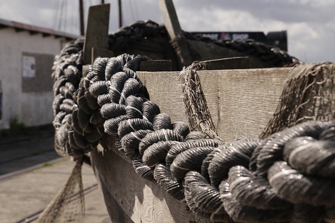 Neue Bilder im Landratsamt (Foto: Dr. Ulrich Kühn) Neue Bilder im Landratsamt (Foto: Dr. Ulrich Kühn)