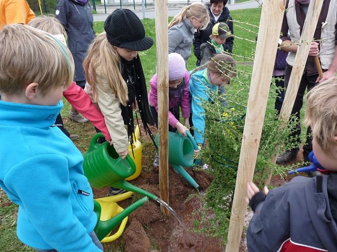 Baum des Jahres gepflanzt (Foto: Karl-Heinz Herrmann)