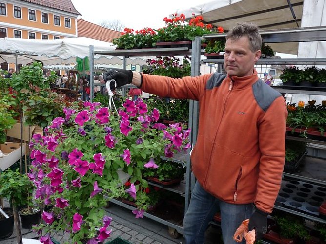 Blumige F&uuml;lle (Foto: Karl-Heinz Herrmann)