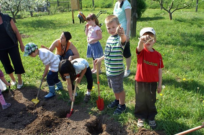 Kartoffeln (Foto: Thomas Leipold) Kartoffeln (Foto: Thomas Leipold)