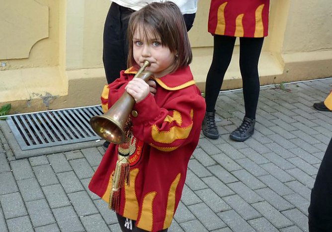 Flieder geehrt (Foto: Karl-Heinz Herrmann) Flieder geehrt (Foto: Karl-Heinz Herrmann)