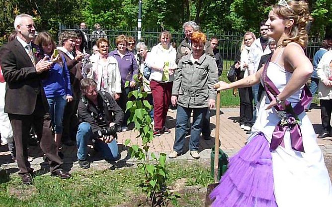 Flieder geehrt (Foto: Karl-Heinz Herrmann) Flieder geehrt (Foto: Karl-Heinz Herrmann)