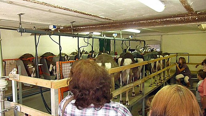 Welche Menschenmassen! (Foto: Karl-Heinz Herrmann) Welche Menschenmassen! (Foto: Karl-Heinz Herrmann)