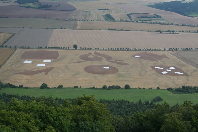 Da entsteht was... (Foto: privat) Da entsteht was... (Foto: privat)