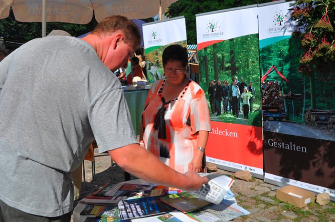 Neues Logo f&uuml;r alten Wald (Foto: Melanie Tulke)