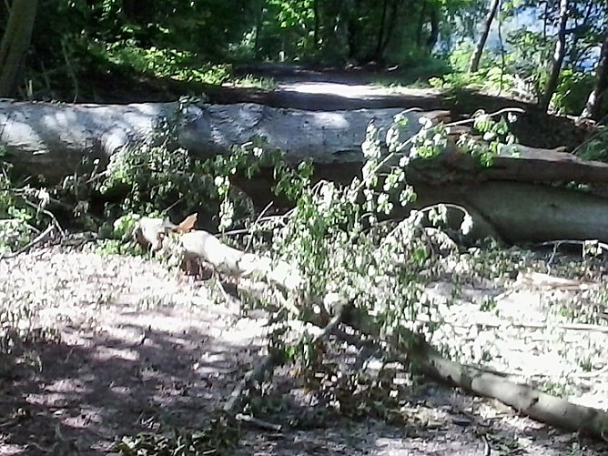 Neues aus Berka und Jecha (Foto: privat) Neues aus Berka und Jecha (Foto: privat)