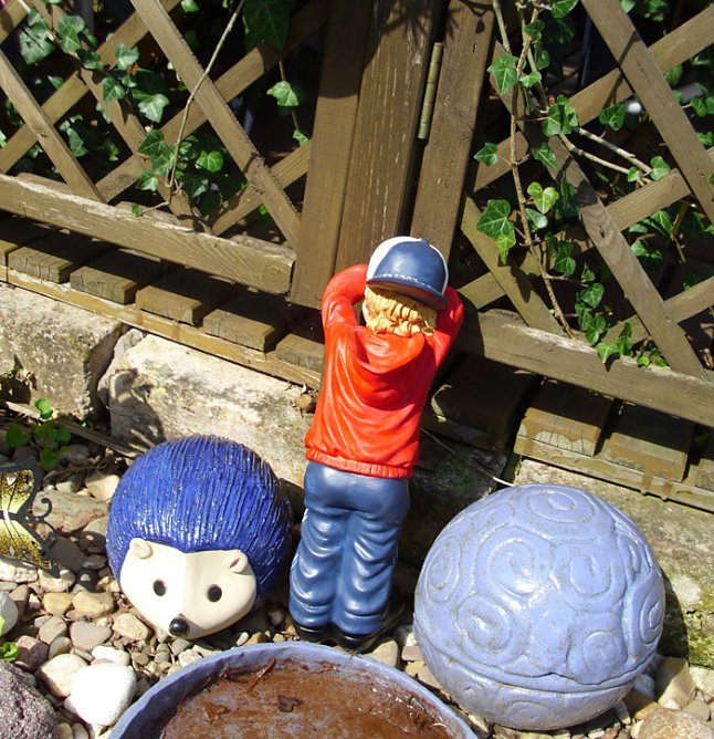 Aus den Kleingärten (Foto: Thomas Leipold) Aus den Kleingärten (Foto: Thomas Leipold)