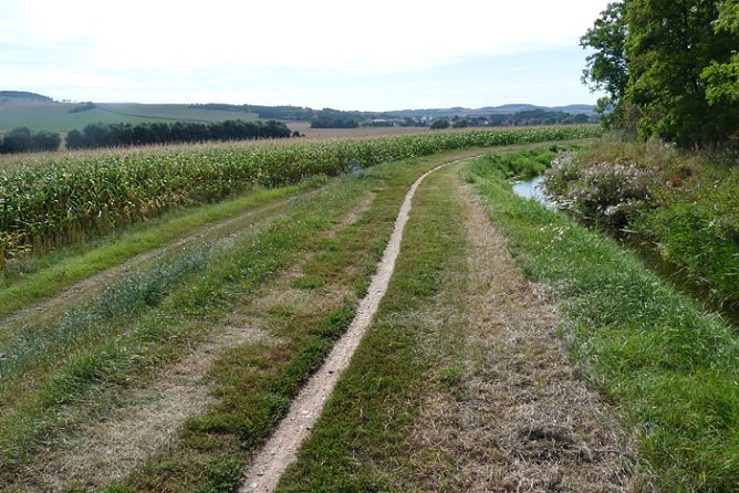 Radweg an der kleinen Wipper (Foto: Karl-Heinz Herrmann)