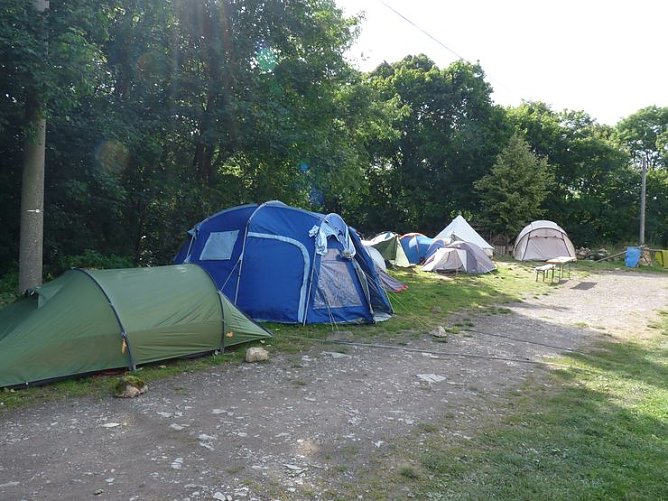 Patenschaft wird angestrebt (Foto: Karl-Heinz Herrmann)