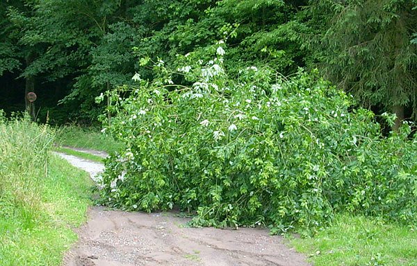 Sperre am Heringer Weg (Foto: Karl-Heinz Herrmann)