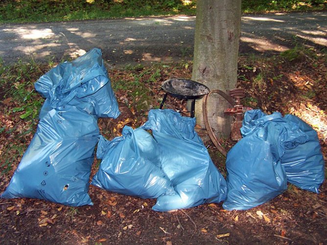 CITO - M&uuml;llsuche im Possenwald (Foto: M. Stiel)