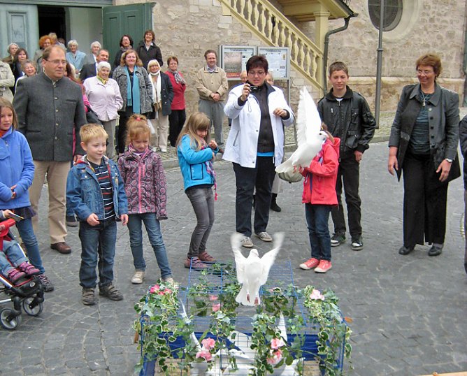 Friedenstauben im Flug  (Foto: privat)
