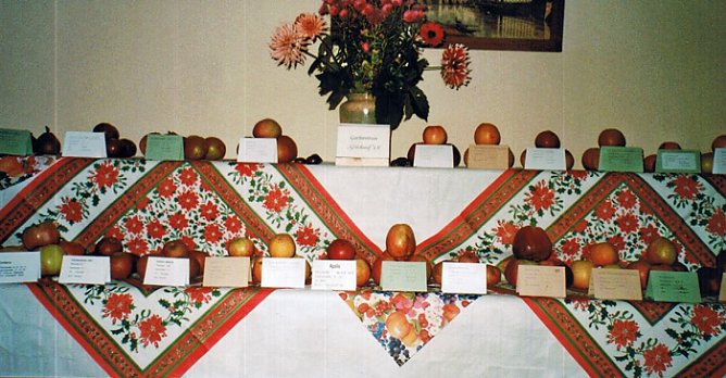 Apfelsortenbestimmung m&ouml;glich (Foto: Karl-Heinz Herrmann)