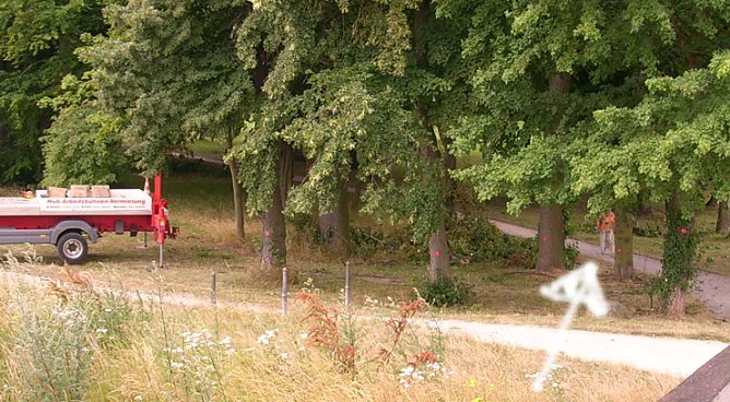 Baumpflege Schlosspark (Foto: Karl-Heinz Herrmann) Baumpflege Schlosspark (Foto: Karl-Heinz Herrmann)