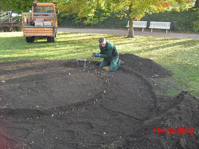 Bl&uuml;hendes Frankenhausen (Foto: Stadt Bad Frankenhausen)