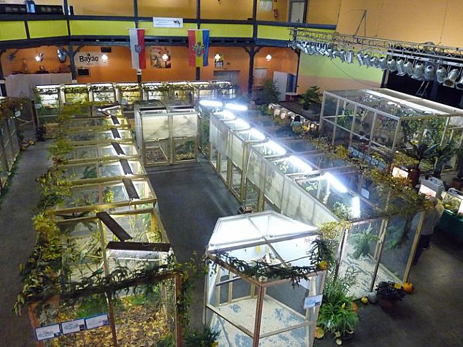 Zwei Titel nach Sondershausen (Foto: Karl-Heinz Herrmann)