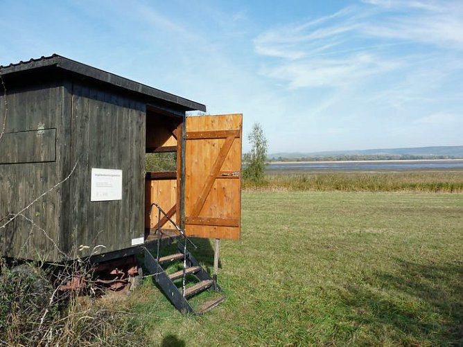 Den Kranichen gefolgt (2) (Foto: Karl-Heinz Herrmann)