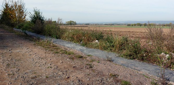 Behinderte doppelt benachteiligt (Foto: Karl-Heinz Herrmann)