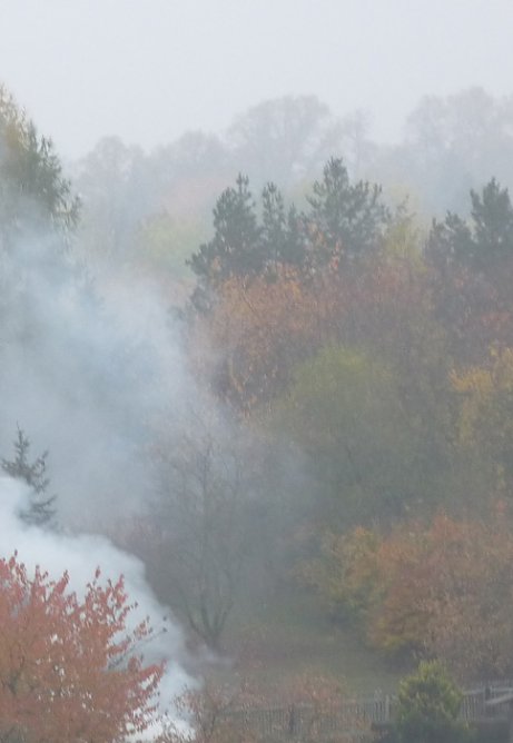 Enormes Ausma&szlig; (Foto: Karl-Heinz Herrmann)