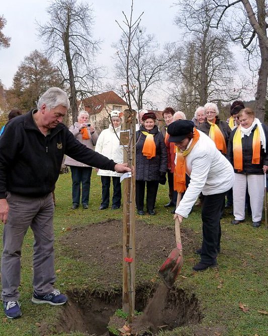 Zweiter Anlauf (Foto: privat)