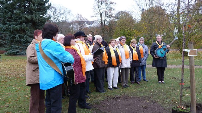 Zweiter Anlauf (Foto: privat)