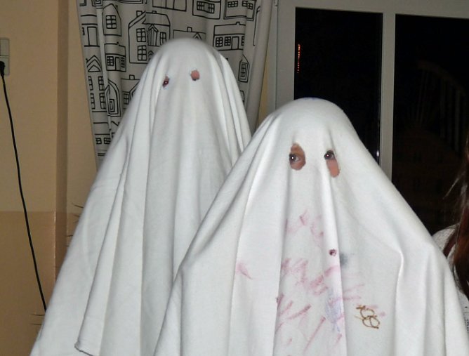 Zauberhafter Strau&szlig;berg (Foto: Karl-Heinz Herrmann)