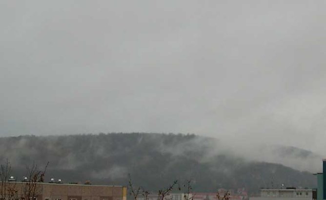 Wetter interessiert (Foto: privat) Wetter interessiert (Foto: privat)