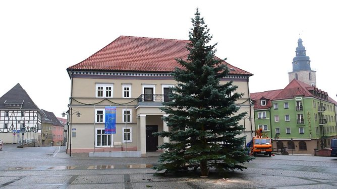 Advent kann kommen (Foto: privat) Advent kann kommen (Foto: privat)