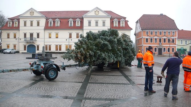 Advent kann kommen (Foto: privat) Advent kann kommen (Foto: privat)