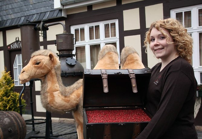 Neue Ausstellung wird vorbereitet (Foto: Tradi)