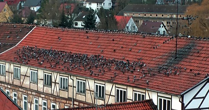 So etwas von voll! (Foto: Karl-Heinz Herrmann)