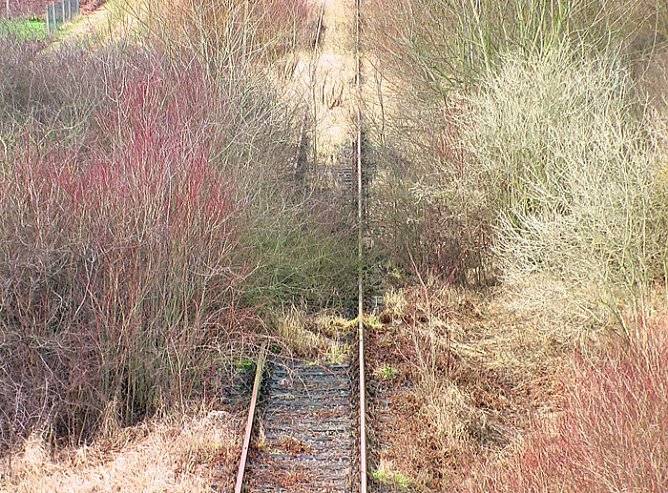 Das letzte aus 2012 (Foto: Karl-Heinz Herrmann) Das letzte aus 2012 (Foto: Karl-Heinz Herrmann)