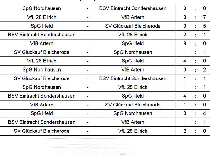 Halllenkreismeister G- Junioren (Foto: Kreisfu&szlig;ballausschuss Nordth&uuml;ringen)