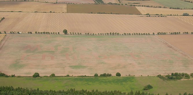Bodenbild am Kyffhäuser (Foto: Karl-Heinz Herrmann) Bodenbild am Kyffhäuser (Foto: Karl-Heinz Herrmann)
