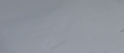 Schnee (Foto: Karl-Heinz Herrmann)