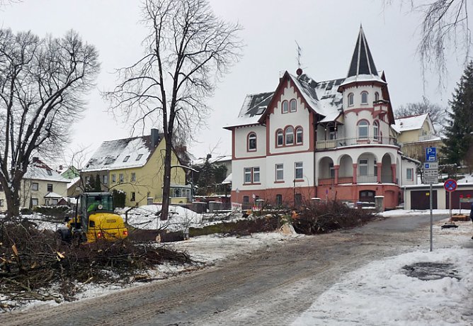 Baumf&auml;llungen passiert (Foto: Karl-Heinz Herrmann)
