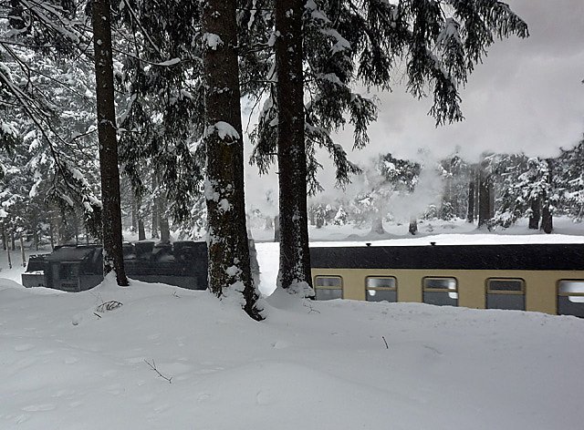 Huschbahn im Harz (Foto: Gerhard Kyff) Huschbahn im Harz (Foto: Gerhard Kyff)