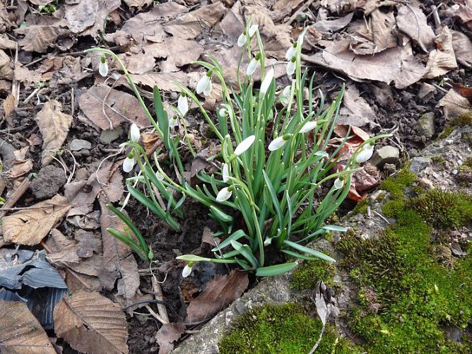 Kratzen angesagt (Foto: Privat) Kratzen angesagt (Foto: Privat)