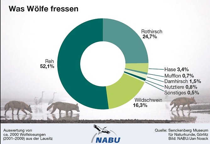 Grafik (Foto: NABU Th&uuml;ringen)