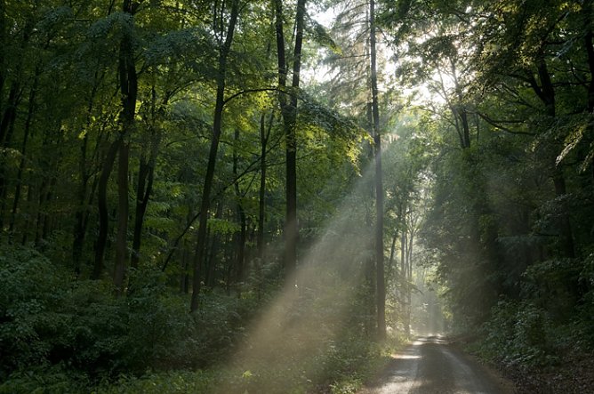Naturführung: (Foto: Hoche Schrecke) Naturführung: (Foto: Hoche Schrecke)