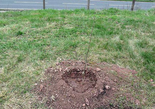 Mimengruppe aktiv (Foto: kn/DRK) Mimengruppe aktiv (Foto: kn/DRK)