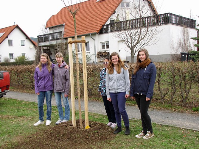Der Dritte  (Foto: S. Zeidler)