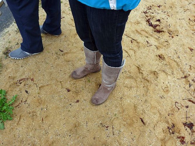 Warmes Anbaden? (Foto: Karl-Heinz Herrmann)