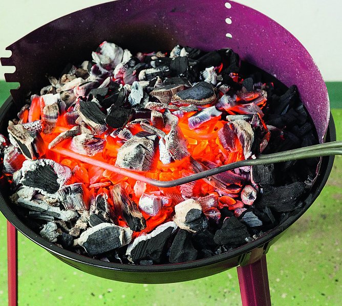 Sicher: Mit Elektrostab (Foto: Stiftung Warentest) Sicher: Mit Elektrostab (Foto: Stiftung Warentest)