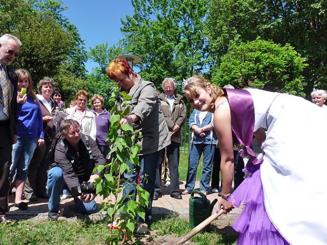 Fliederfest einplanen (Foto: Karl-Heinz Herrmann)