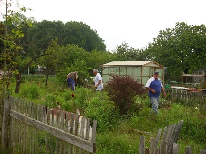 Gemeinn&uuml;tziger Arbeitseinsatz  in Gl&uuml;ckauf (Foto: Thomas Leipold)