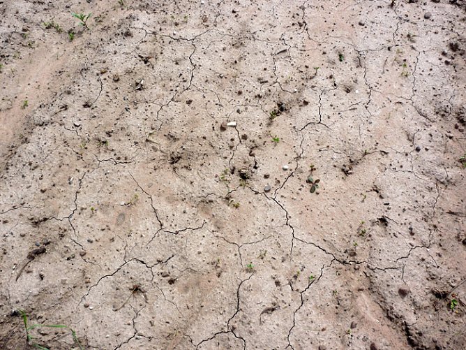 Nur leichter Rückgang? (Foto: Privat) Nur leichter Rückgang? (Foto: Privat)