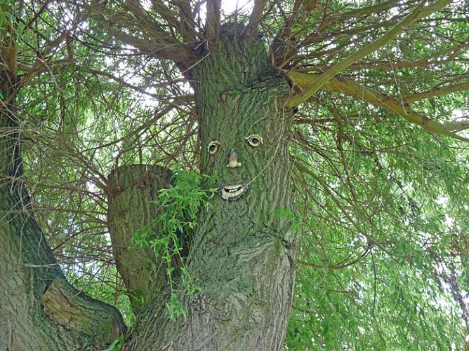 Hammatal hat gew&auml;hlt (Foto: Karl-Heinz Herrmann)