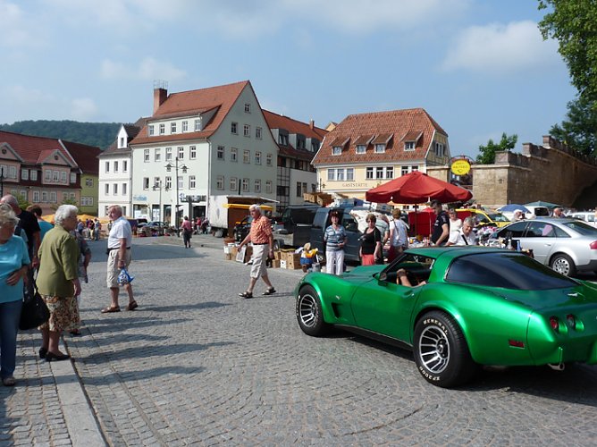 Richtiges Tr&ouml;delwetter (Foto: Karl-Heinz Herrmann)